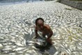 /album/da%c3%b1o-ambiental/contaminacion-del-agua-jpg1/