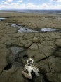 /album/da%c3%b1o-ambiental/jpg-world-water-day-3-jpg1/
