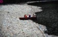 /album/da%c3%b1o-ambiental/worst-examples-of-pollution22-jpg1/